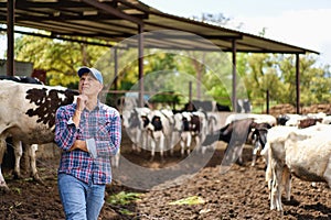 farmer cowboy at cow farm ranch