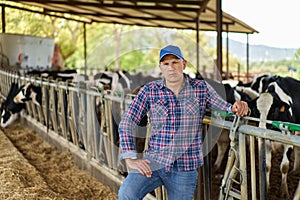 farmer cowboy at cow farm ranch