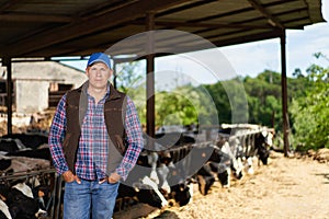 farmer cowboy at cow farm ranch