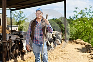 farmer cowboy at cow farm ranch