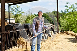 farmer cowboy at cow farm ranch