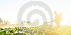 A farmer cultivates a potato plantation to protect pests and fungal diseases of plants from insects. The use of chemicals in