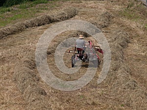 Farmer cuts a wheat field