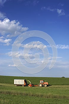 Farmer Cutting Hay