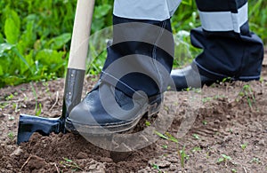 Farmer digging a garden