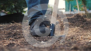 Farmer digging the ground with a shovel garden close-up. slow motion video. man farmer working in the garden agriculture