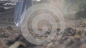 Farmer digging the ground with a shovel garden spade close-up. slow motion video. man lifestyle farmer working in the