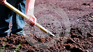 A farmer digs soil with a shovel in a field. agriculture concept. Loosening the soil before planting