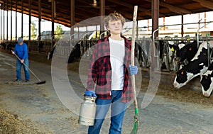 Farmer diligently cleans the barn and feeds the cows with hay photo