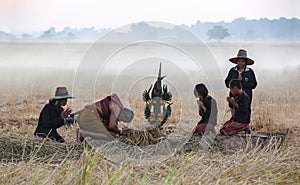 Farmer doing harvest ceremony in rice field with elephants