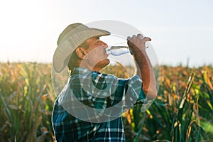 Farmer drink water. in the cornfield, he takes a break after work at sunset.