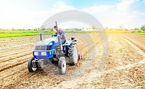 Farmer drives a tractor on a farm field. Agricultural industry. Cultivating land soil for further planting. Loosening, improving