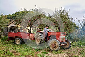 Farmer driving tractor through backyard orchard