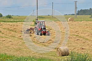 Farmer dry grass