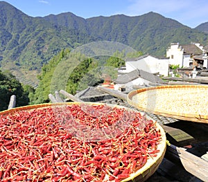 Farmer drying chili and soy in mountain village, adobe rgb