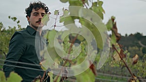 Farmer enjoy vine growth walking grape plantation closeup. Winegrower inspecting