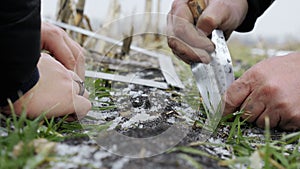 Farmer examines seeding of winter wheat plants. Checking young harvest in a snowy field