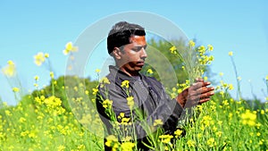 Farmer examining crops crouching in mustard farm, Agriculture production concept. young agronomist examines mustard crop on field