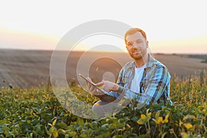 Farmer examining crops and using digital tablet in soybean field at sunset
