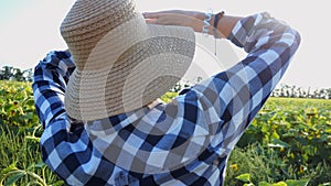 Farmer examining ripe sunflowers at field on sunny day. Female agronomist exploring plants at meadow. Beautiful scenic