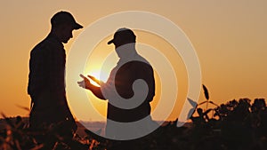 A farmer extends his hand for a handshake to a young worker. Standing on a field at sunset - agribusiness concept