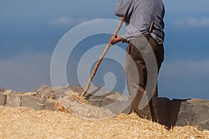 The farmer fanning wheat separating the wheat