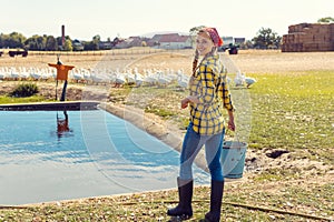 Farmer and farm animals, geese on a meadow