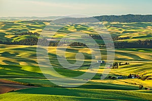 Farmer farm in countryside in Palouse