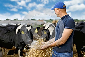 Farmer at farm with dairy cow