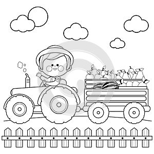 Farmer at the farm driving a tractor and carrying crates with fruit. Vector black and white coloring page.