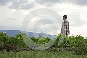 Farmer in farmland