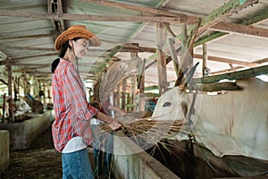 a farmer feels happy while holding hay while feeding the cows