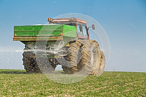 Farmer fertilizing wheat with nitrogen, phosphorus, potassium fertilizer