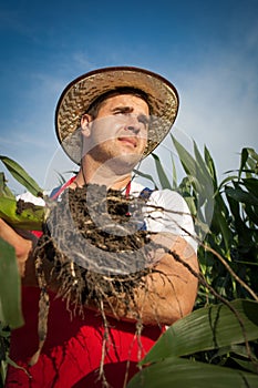 Farmer in field