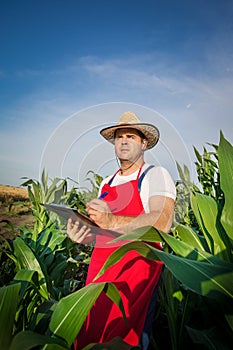 Farmer in field