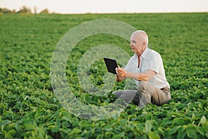 Farmer in filed holding tablet in his hands and examining soybean corp