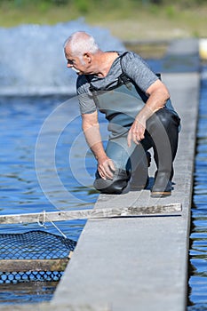 Farmer at a fishfarm photo