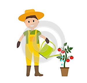 Farmer Gardener Man with Watering Can and Tomato Plant in Modern