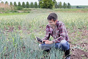 Farmer in garlic field