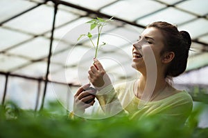 Farmer girl holding green seedlings in sunny greenhouse