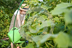 Farmer girl in summer straw hat. Little vegetables gardener farming in garden. Big green watering can water fresh