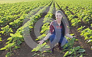 Farmer girl in sunflower field