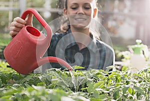 Farmer girl watering seedlings in greenhouse