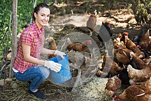 Agricultor dar alimentación material sobre el gallinas 