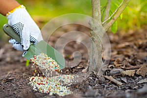 Agricultor dar fertilizante sobre el planta 