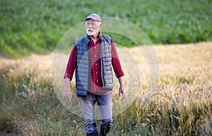 Farmer in golden wheat field