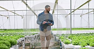 Farmer, greenhouse and man in garden, clipboard and sustainable farming for agriculture, gardening and growth. Gardener