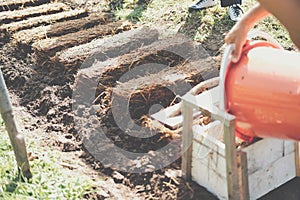 Farmer growing straw mushroom on rice straw