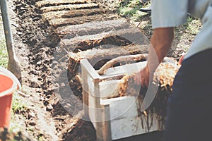 Farmer growing straw mushroom on rice straw