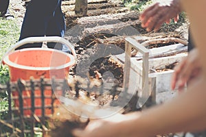 Farmer growing straw mushroom on rice straw